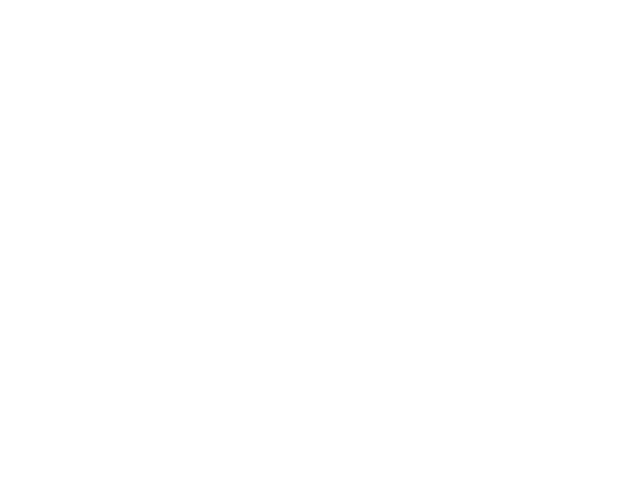 SAVPLUS Conseil