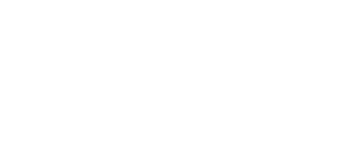 YVRIS